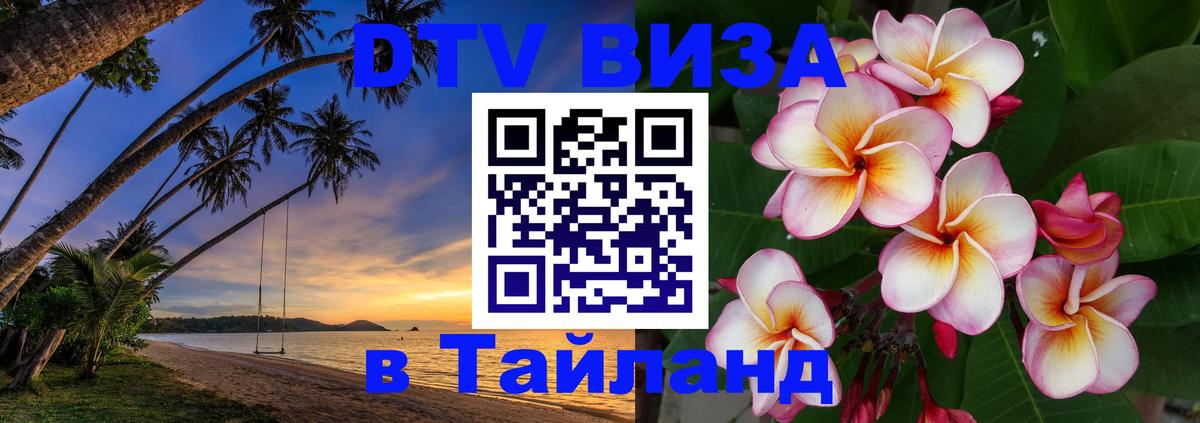 Оформление DTV визы под ключ: стоимость и тарифы, только загранпаспорт - 